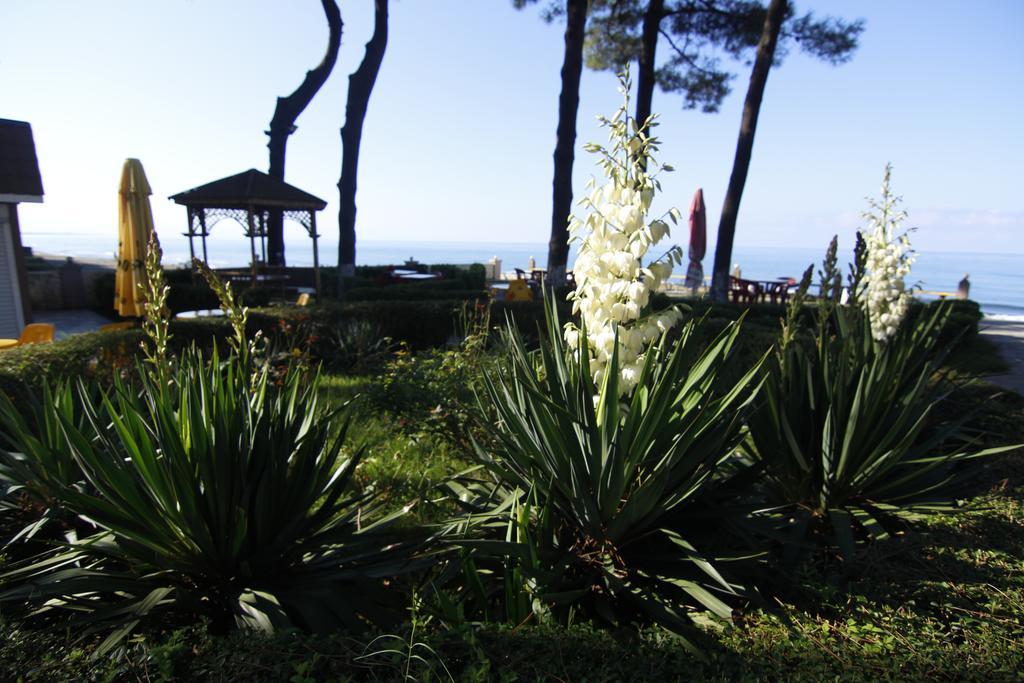 Villa Reta Hotel & Spa Grigoleti Eksteriør billede